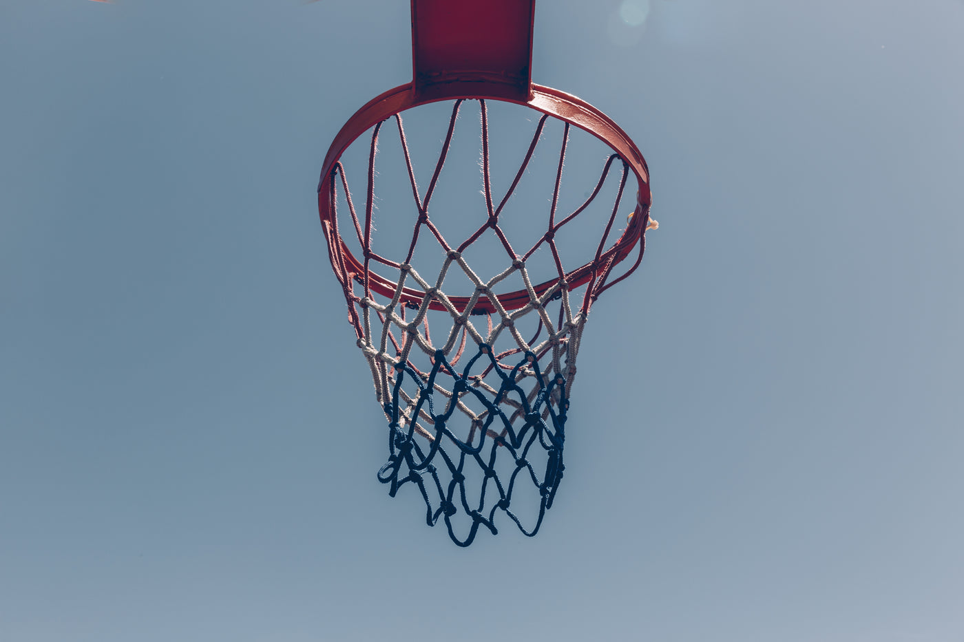 Basketball Net